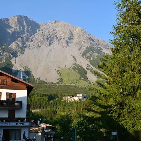 Albergo - B&B Alpina Premadio Экстерьер фото