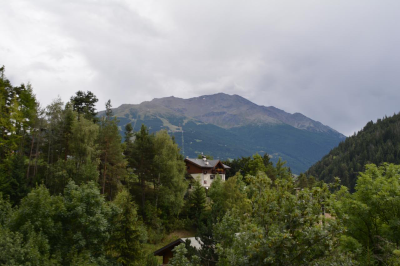 Albergo - B&B Alpina Premadio Экстерьер фото